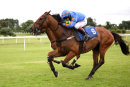 Race 6 - Da Baba Elephant (12)