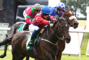 Race 6 - Daffy Jane (8)