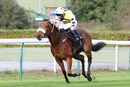 Race 6 - Dakota Gold (6)