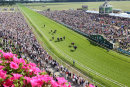 York Races - John Smiths Cup (14 July 18)