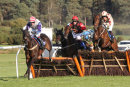 Race 6 - Double Court (2)