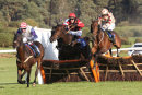 Race 6 - Double Court (3)