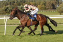 Race 6 - Double Court (8)