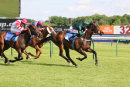 Race 6 - Dragons Voice (10)