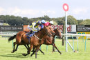 Race 6 - Dubawi Fifty (10)