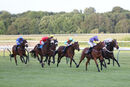 Race 6 - Eponina (12)