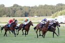 Race 6 - Eponina (14)
