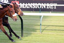 Race 6 - Eponina (9)