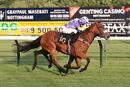 Race 6 - Eponina (12)