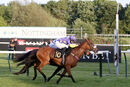 Race 6 - Eponina (14)