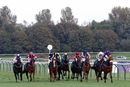 Race 6 - Eponina (2)