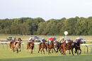 Race 6 - Eponina (8)