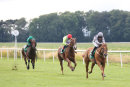 Race 6 - Fairy Falcon (2)