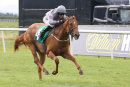 Race 6 - Fairy Falcon (3)