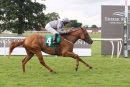 Race 6 - Fairy Falcon (5)