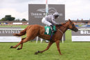 Race 6 - Fairy Falcon (6)