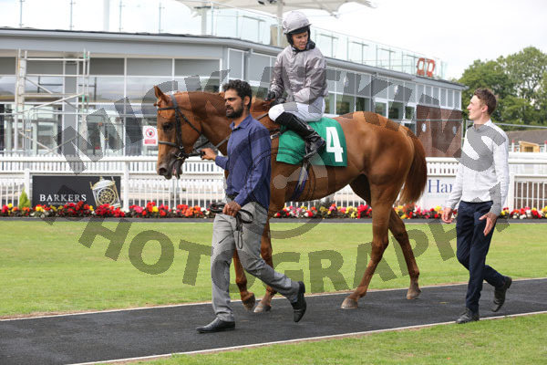 Race 6 - Fairy Falcon (8)