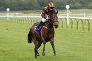 Race 6 - Fairy Stories (10)