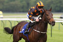 Race 6 - Fairy Stories (12)