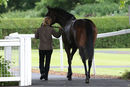 Race 6 - Fairy Stories (19)