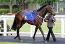 Race 6 - Fairy Stories (2)