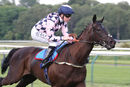 Race 6 - Fitzrovia (6)