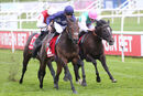 Race 6 - Flaming Rib (8)
