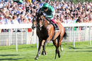 Race 6 - Forest Of Dean (2)