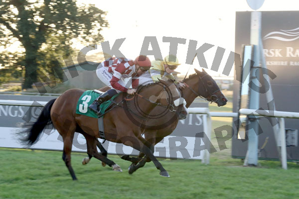 Race 6 - Forever A Lady (10)