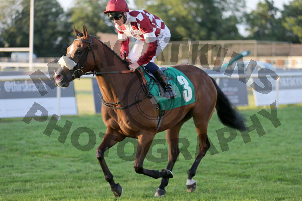 Race 6 - Forever A Lady (2)