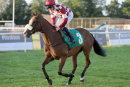 Race 6 - Forever A Lady (2)