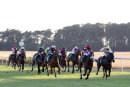 Race 6 - Forever A Lady (3)