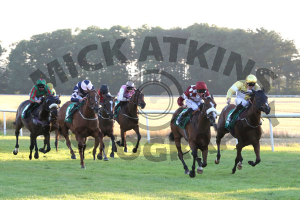 Race 6 - Forever A Lady (4)