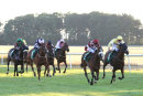 Race 6 - Forever A Lady (4)
