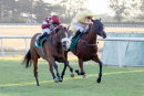 Race 6 - Forever A Lady (5)