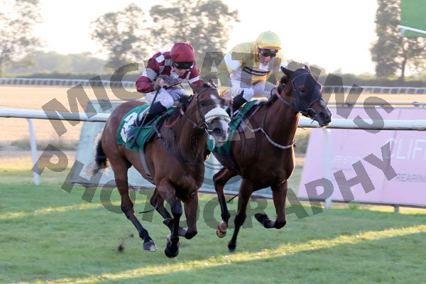 Race 6 - Forever A Lady (6)