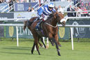 Race 6 - Fox Tal (2)