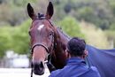 Race 6 - Glen Again (17)