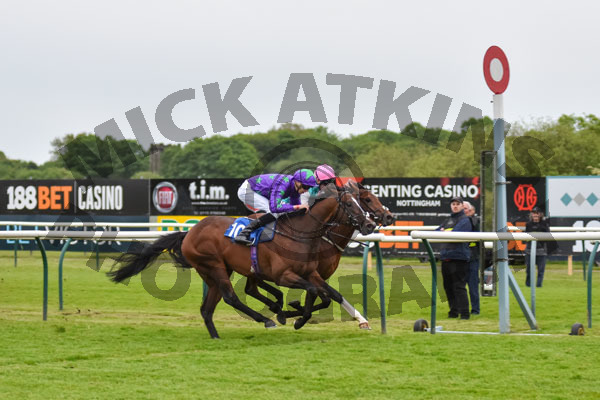 Race 6 - Gododdin (10)