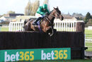 Race 6 - Good Boy Bobby (2)