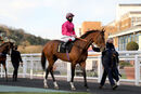 Race 6 - Good Earth (2)