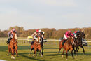 Race 6 - Good Earth (4)