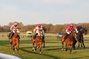 Race 6 - Good Earth (5)