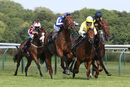 Race 6 - Greatgadian (3)