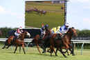 Race 6 - Greatgadian (5)