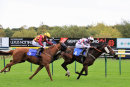 Race 6 - Harlequin Striker (9)