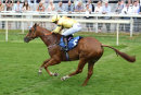 Race 6 - Harome (6)