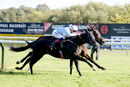 Race 6 - Howzer Black (15)