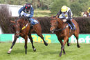 Race 6 - Impressive Duke (5)