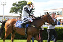 Race 6 - Impressive Duke (8)
